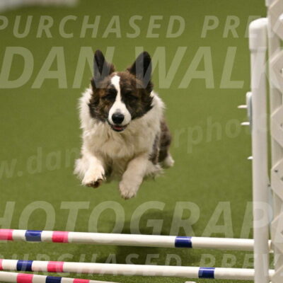 Jonny-Quest-Leslie-Masterson-11046