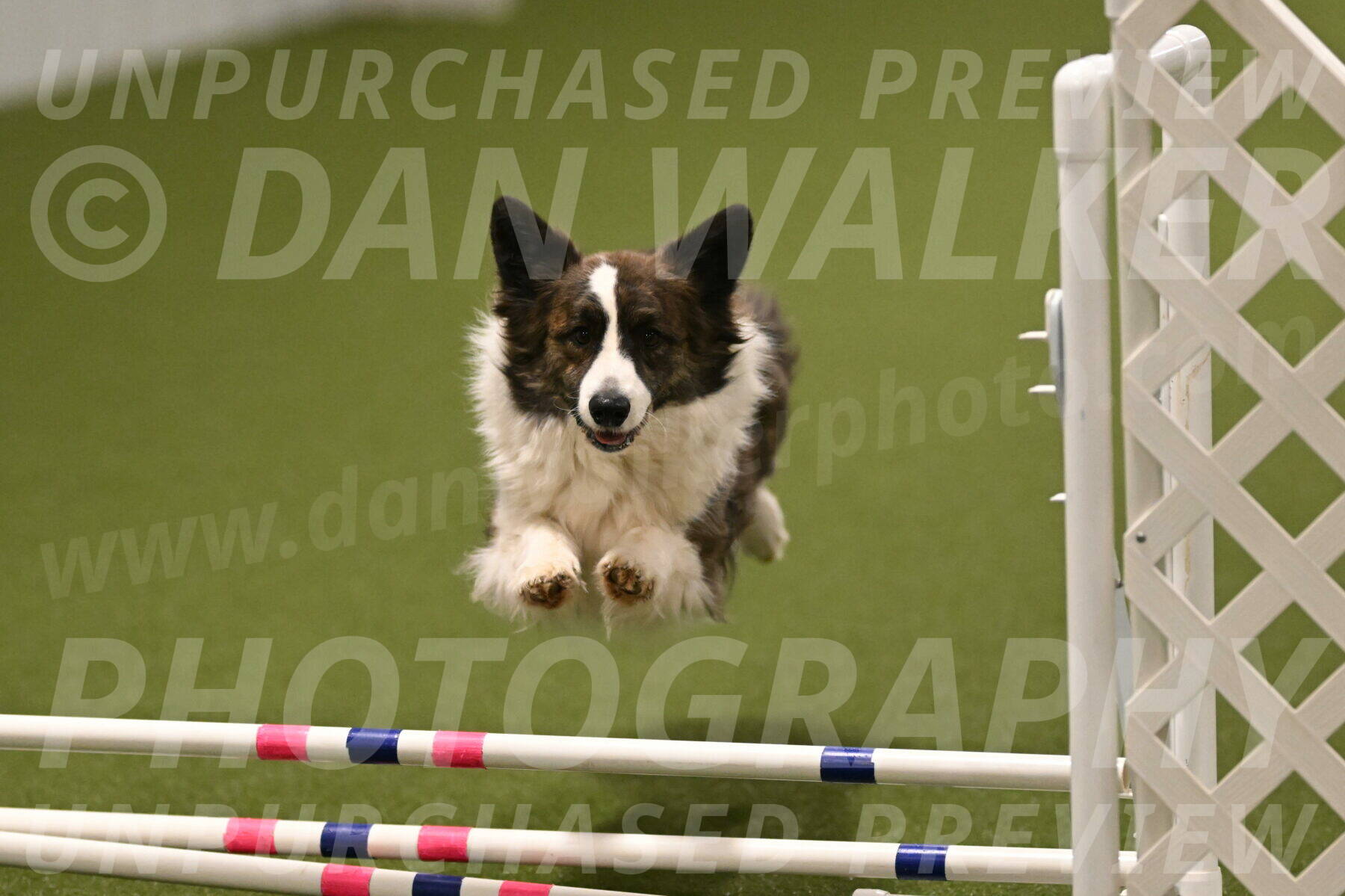 Jonny-Quest-Leslie-Masterson-11047