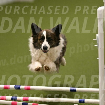 Jonny-Quest-Leslie-Masterson-11047