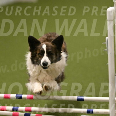 Jonny-Quest-Leslie-Masterson-11048