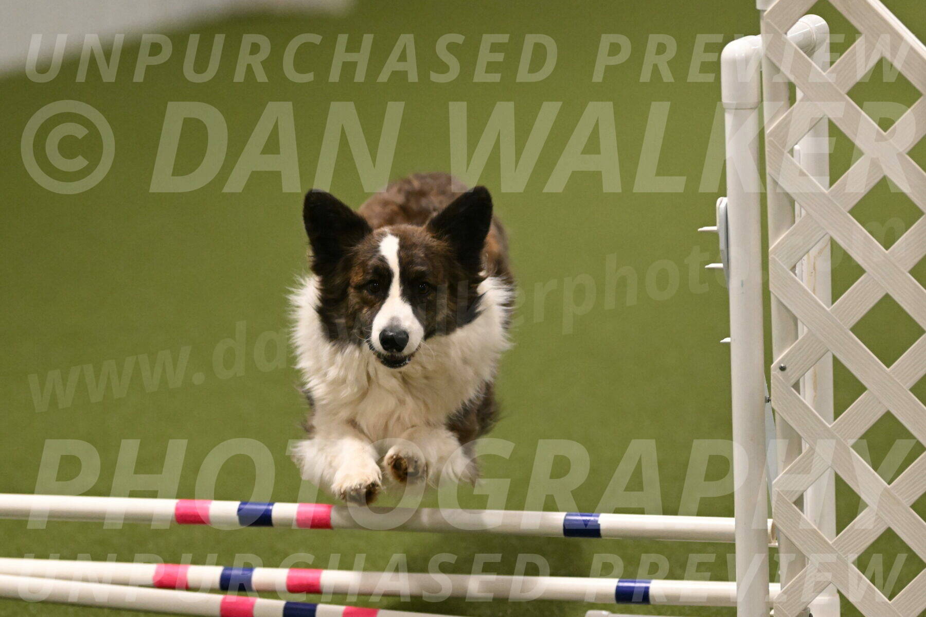 Jonny-Quest-Leslie-Masterson-11048