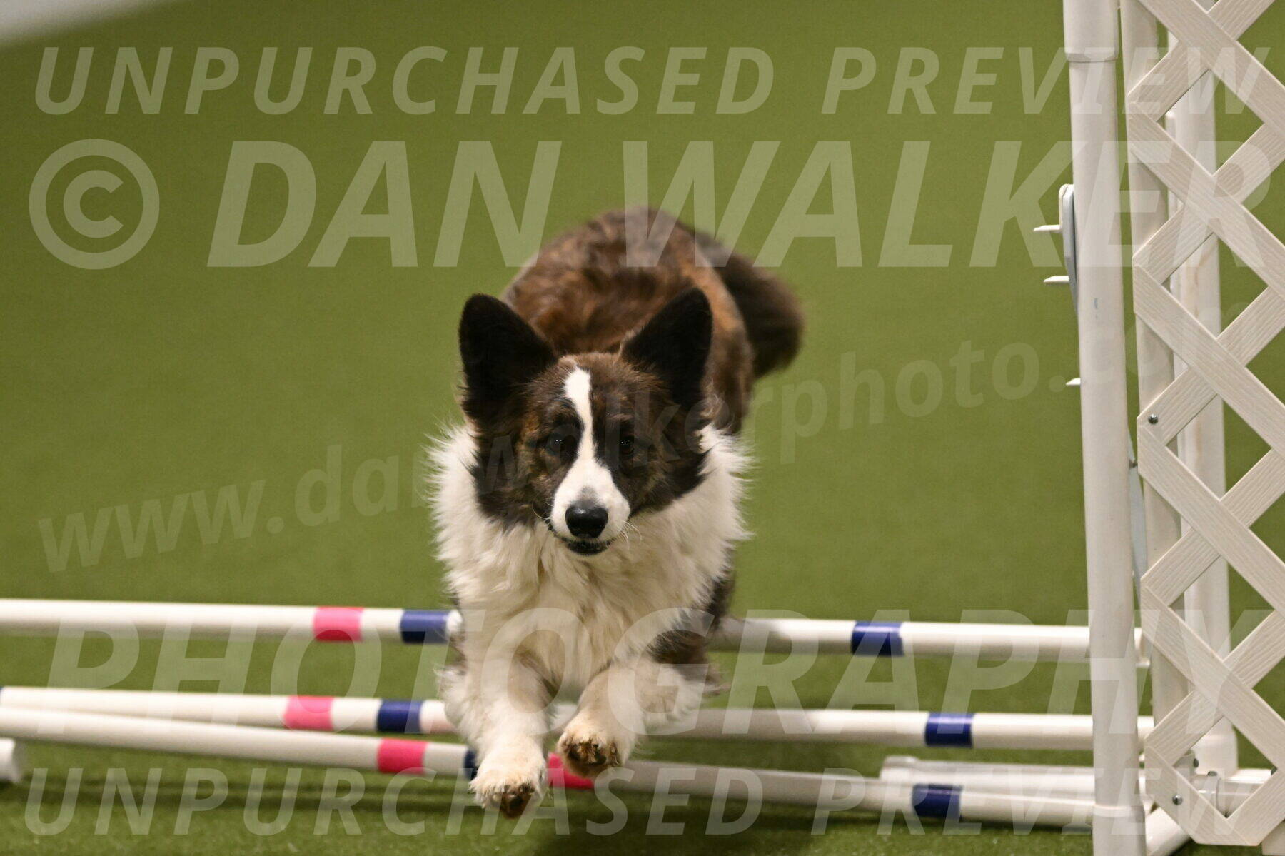 Jonny-Quest-Leslie-Masterson-11049