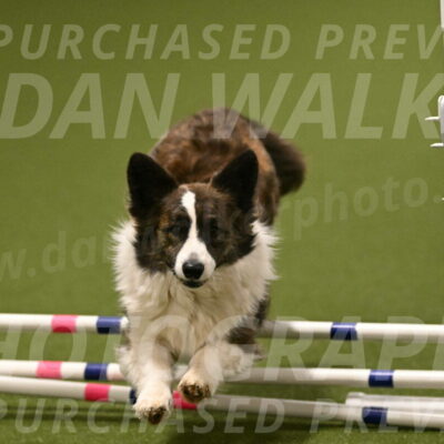 Jonny-Quest-Leslie-Masterson-11049