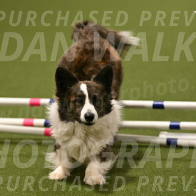 Jonny-Quest-Leslie-Masterson-11050