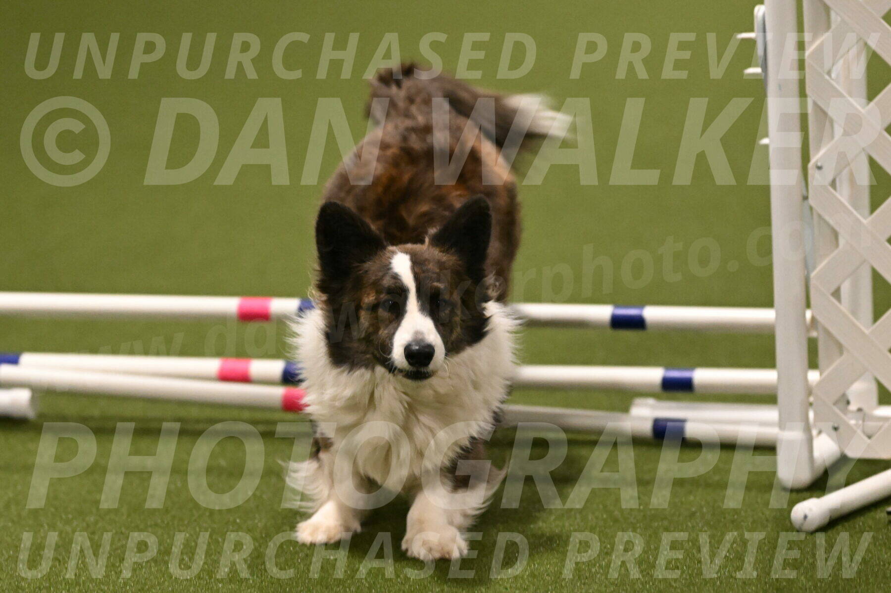 Jonny-Quest-Leslie-Masterson-11050