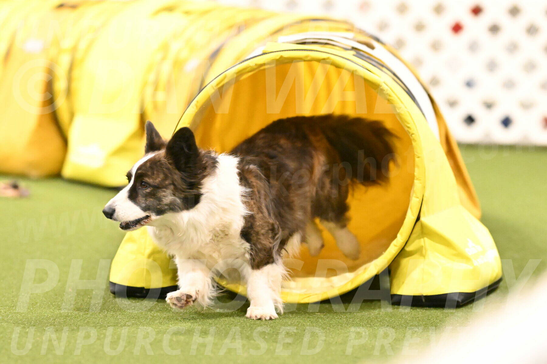 Jonny-Quest-Leslie-Masterson-11055