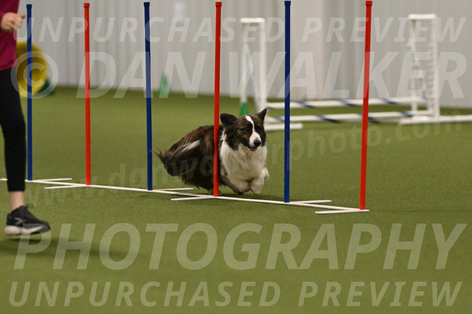 Jonny-Quest-Leslie-Masterson-11056