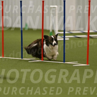 Jonny-Quest-Leslie-Masterson-11056