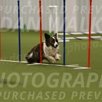 Jonny-Quest-Leslie-Masterson-11057