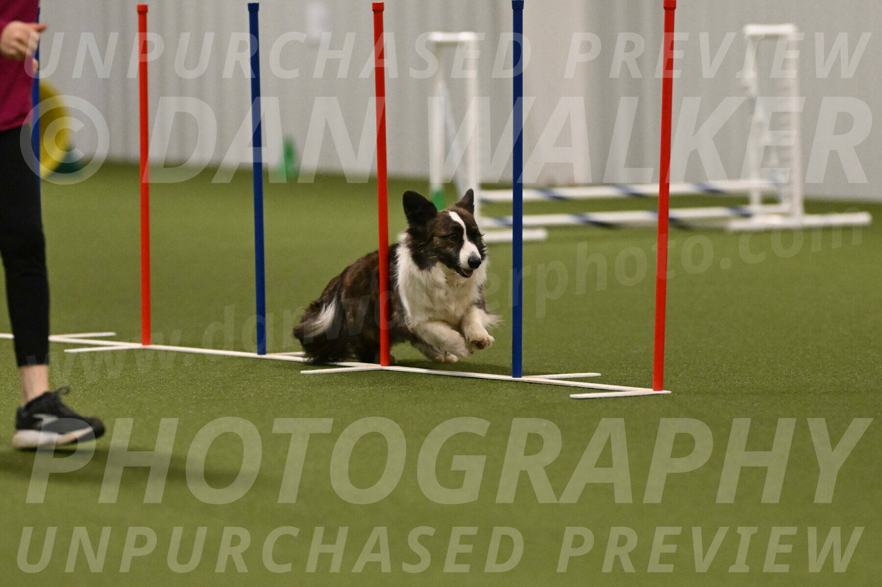 Jonny-Quest-Leslie-Masterson-11057