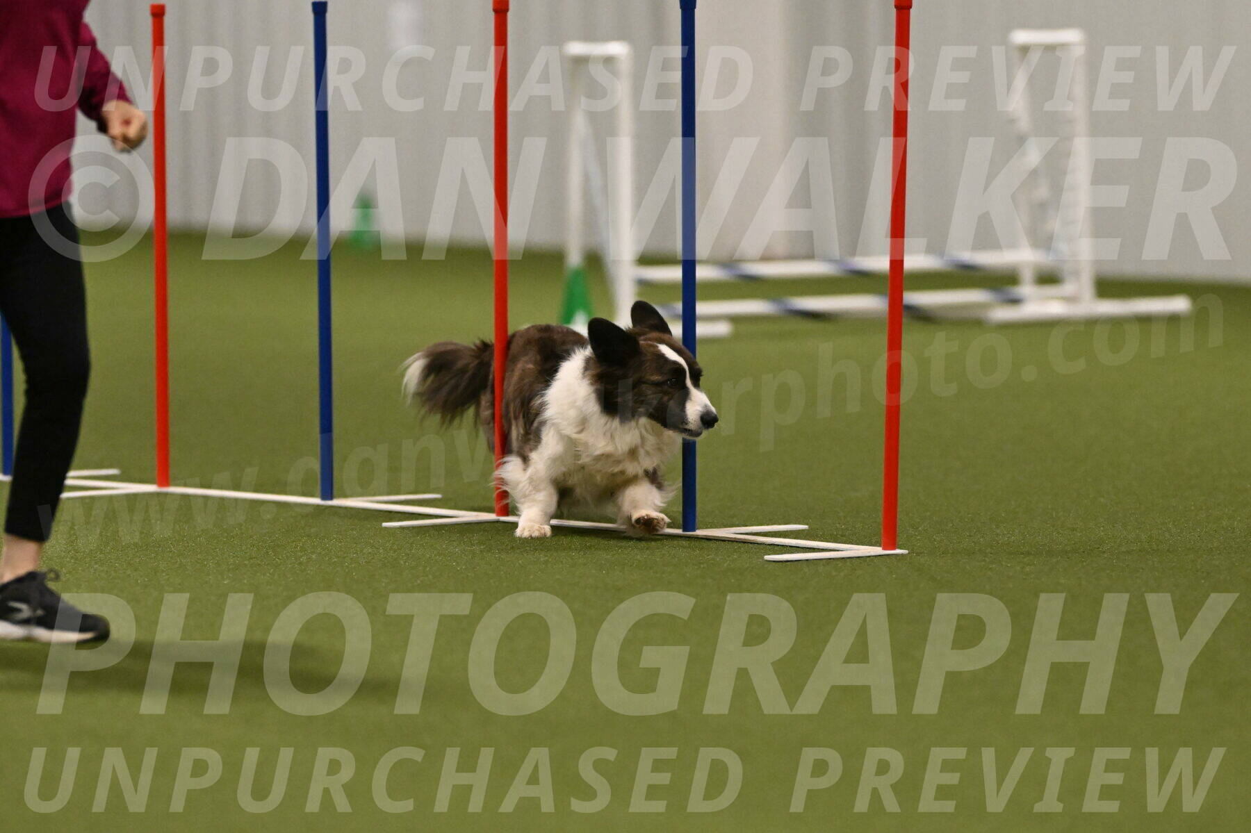 Jonny-Quest-Leslie-Masterson-11058