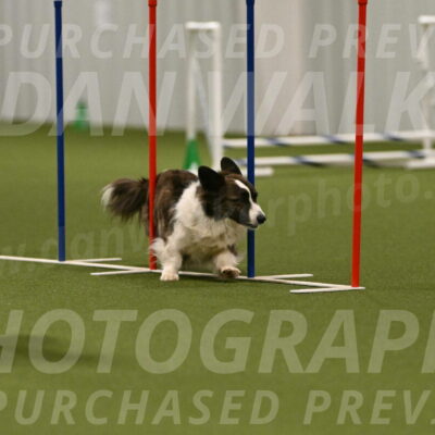 Jonny-Quest-Leslie-Masterson-11058