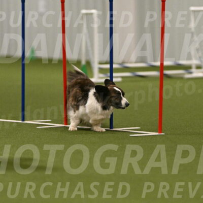 Jonny-Quest-Leslie-Masterson-11059