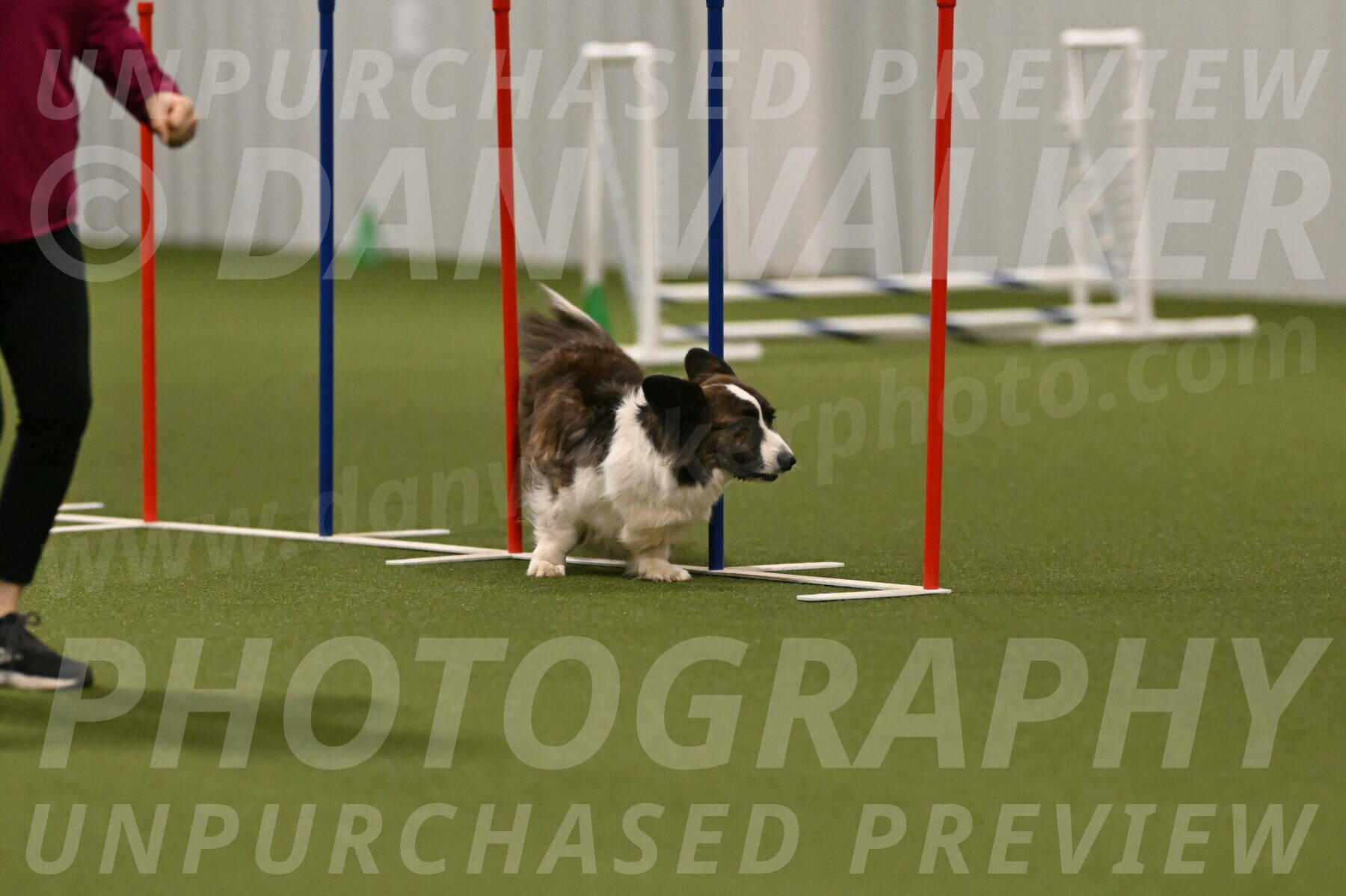 Jonny-Quest-Leslie-Masterson-11059