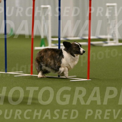 Jonny-Quest-Leslie-Masterson-11060