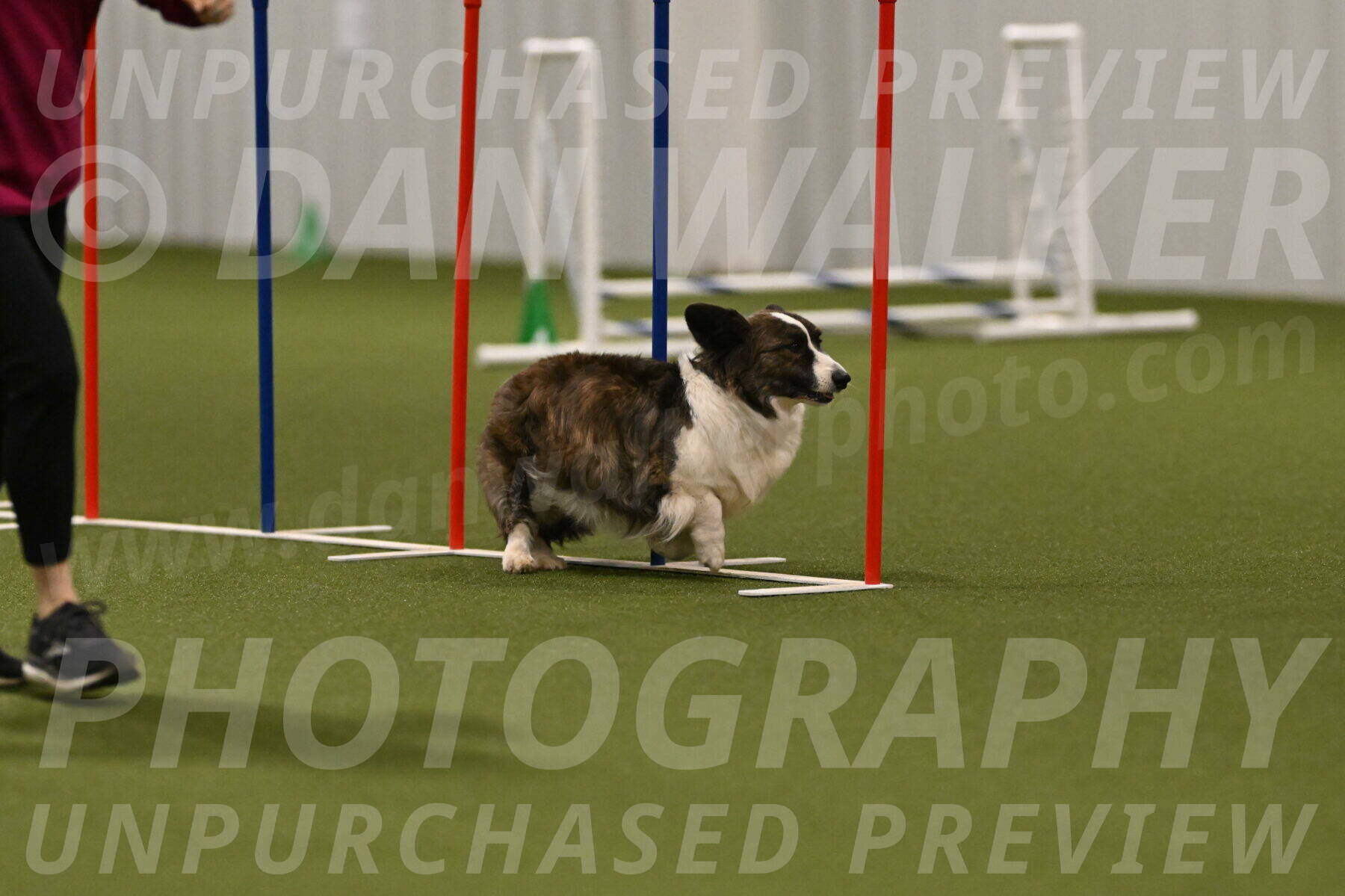 Jonny-Quest-Leslie-Masterson-11060