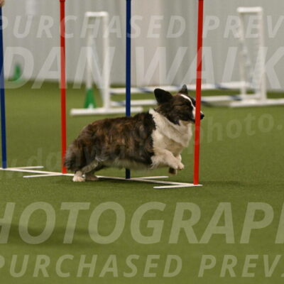 Jonny-Quest-Leslie-Masterson-11061