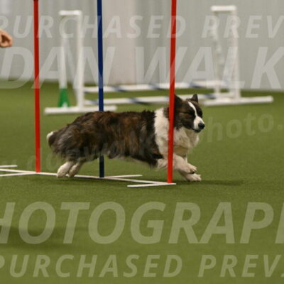 Jonny-Quest-Leslie-Masterson-11062