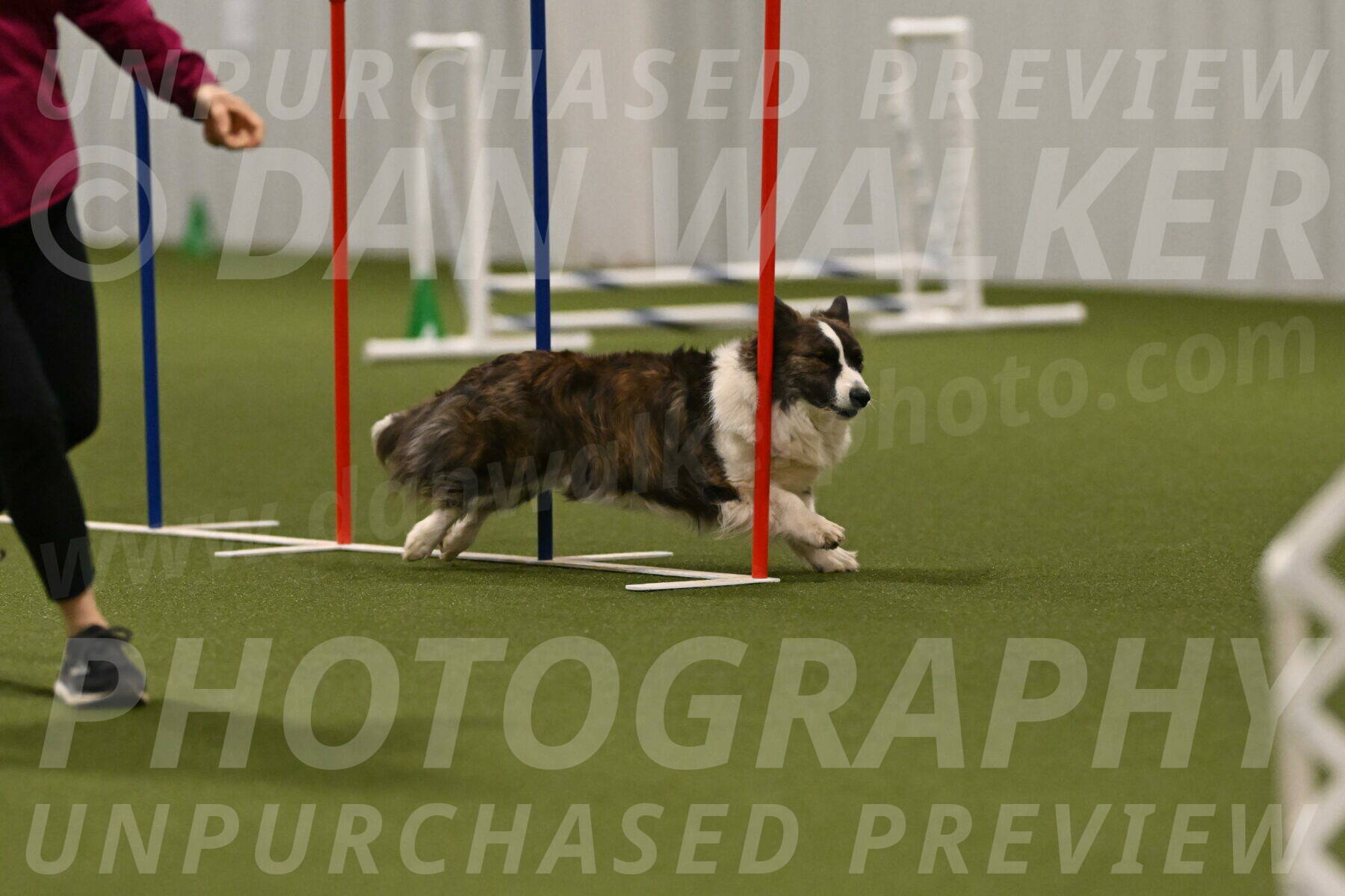 Jonny-Quest-Leslie-Masterson-11062