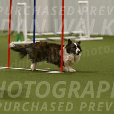 Jonny-Quest-Leslie-Masterson-11063