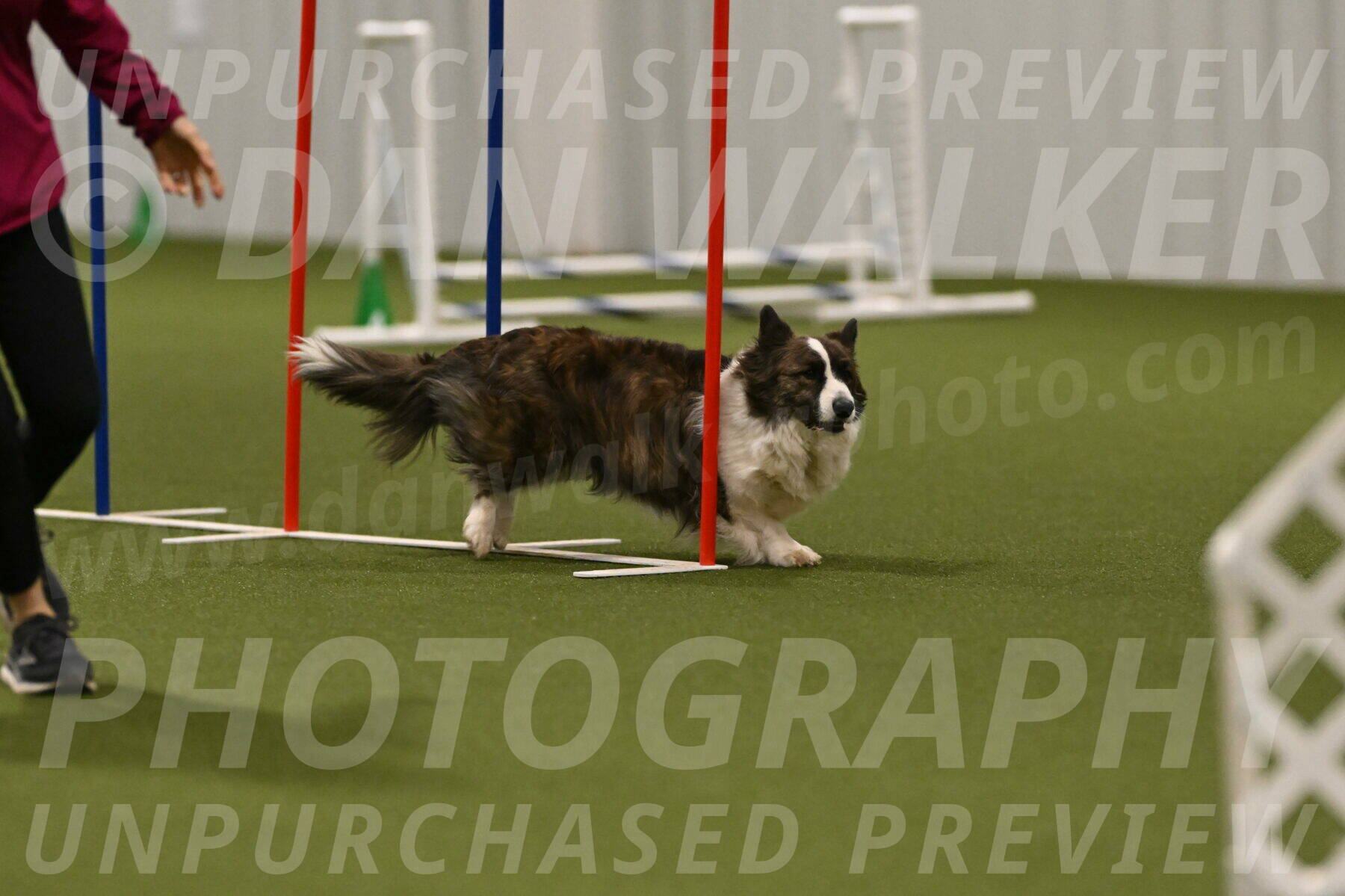 Jonny-Quest-Leslie-Masterson-11063