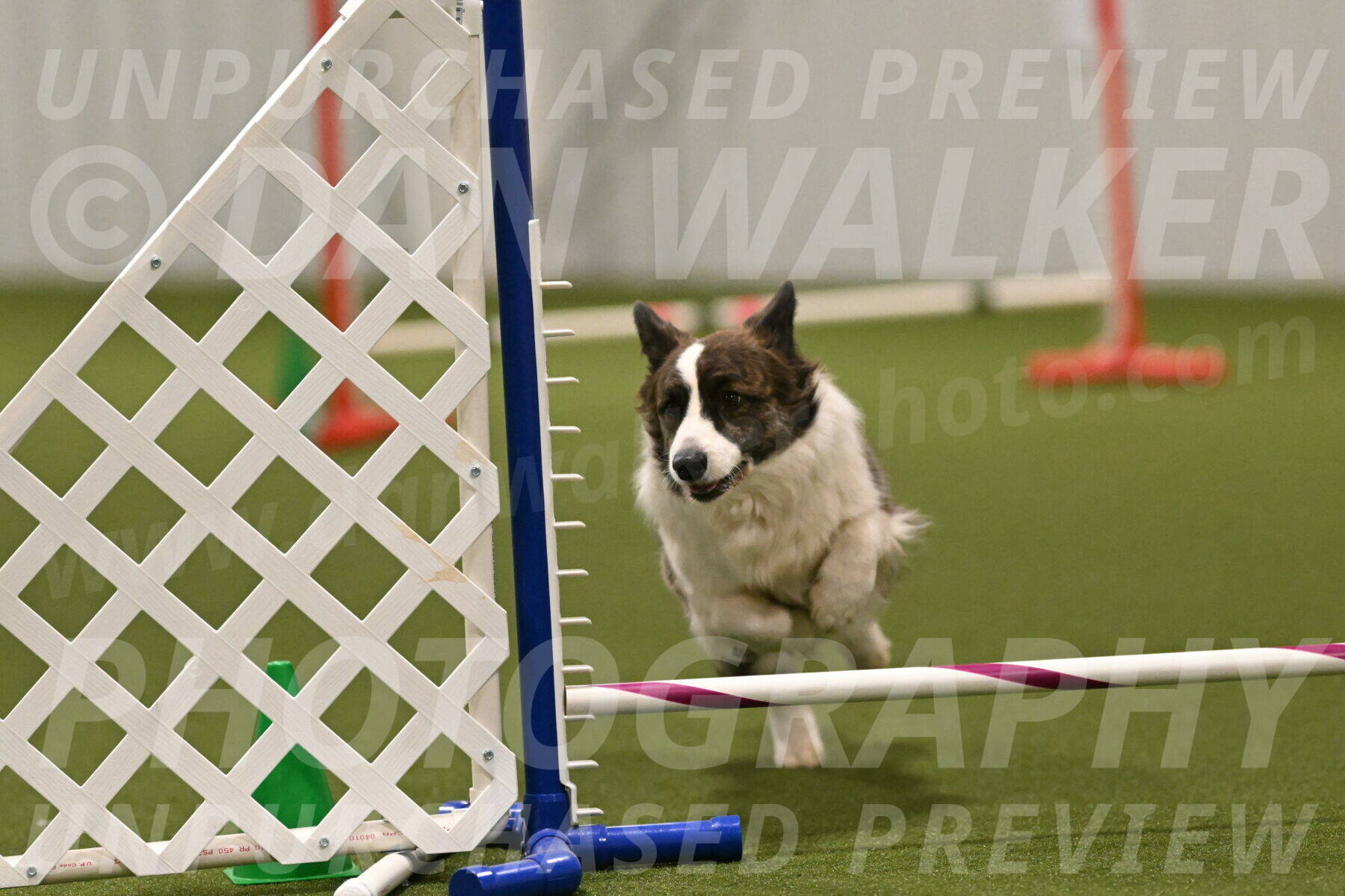 Jonny-Quest-Leslie-Masterson-11064