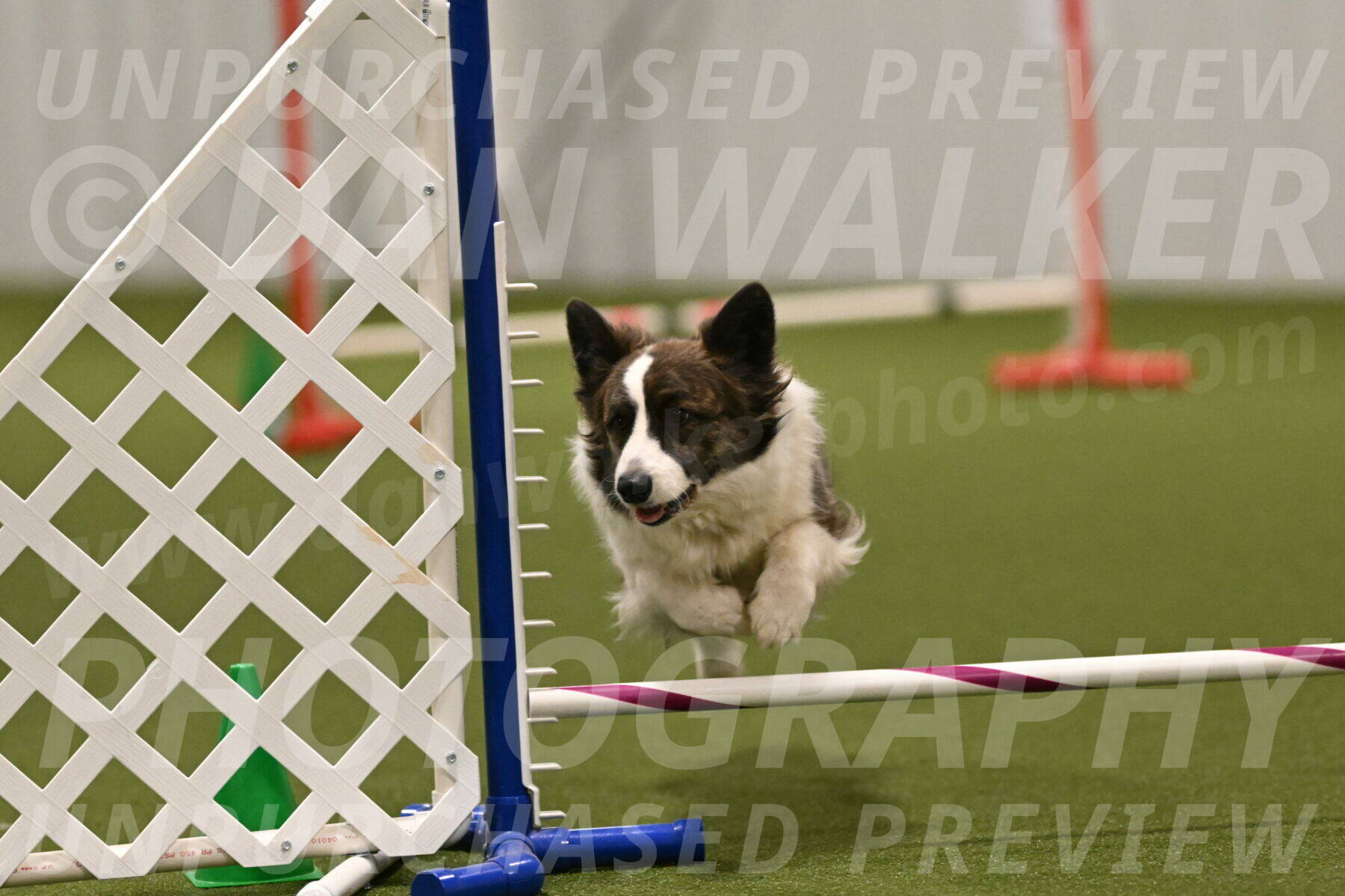 Jonny-Quest-Leslie-Masterson-11065