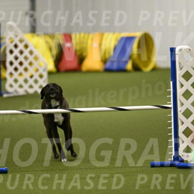 Josie-Sara-Dysert-07230