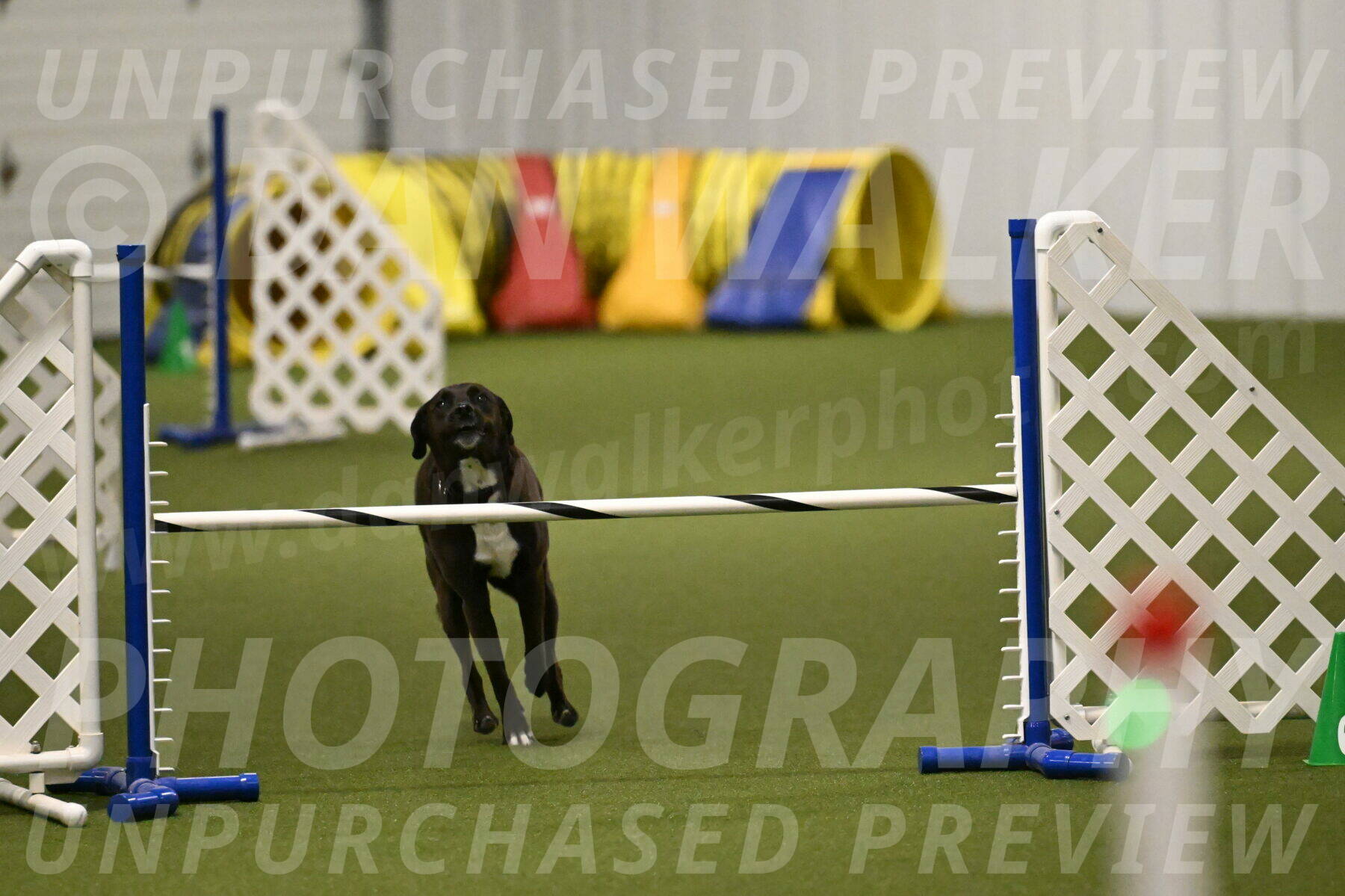 Josie-Sara-Dysert-07230