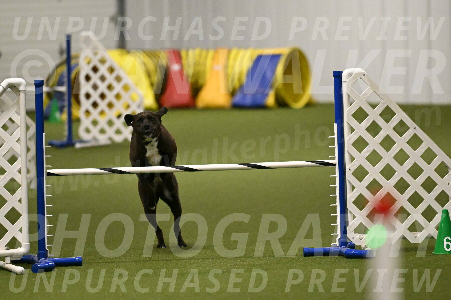 Josie-Sara-Dysert-07231