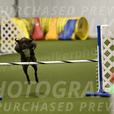 Josie-Sara-Dysert-07232