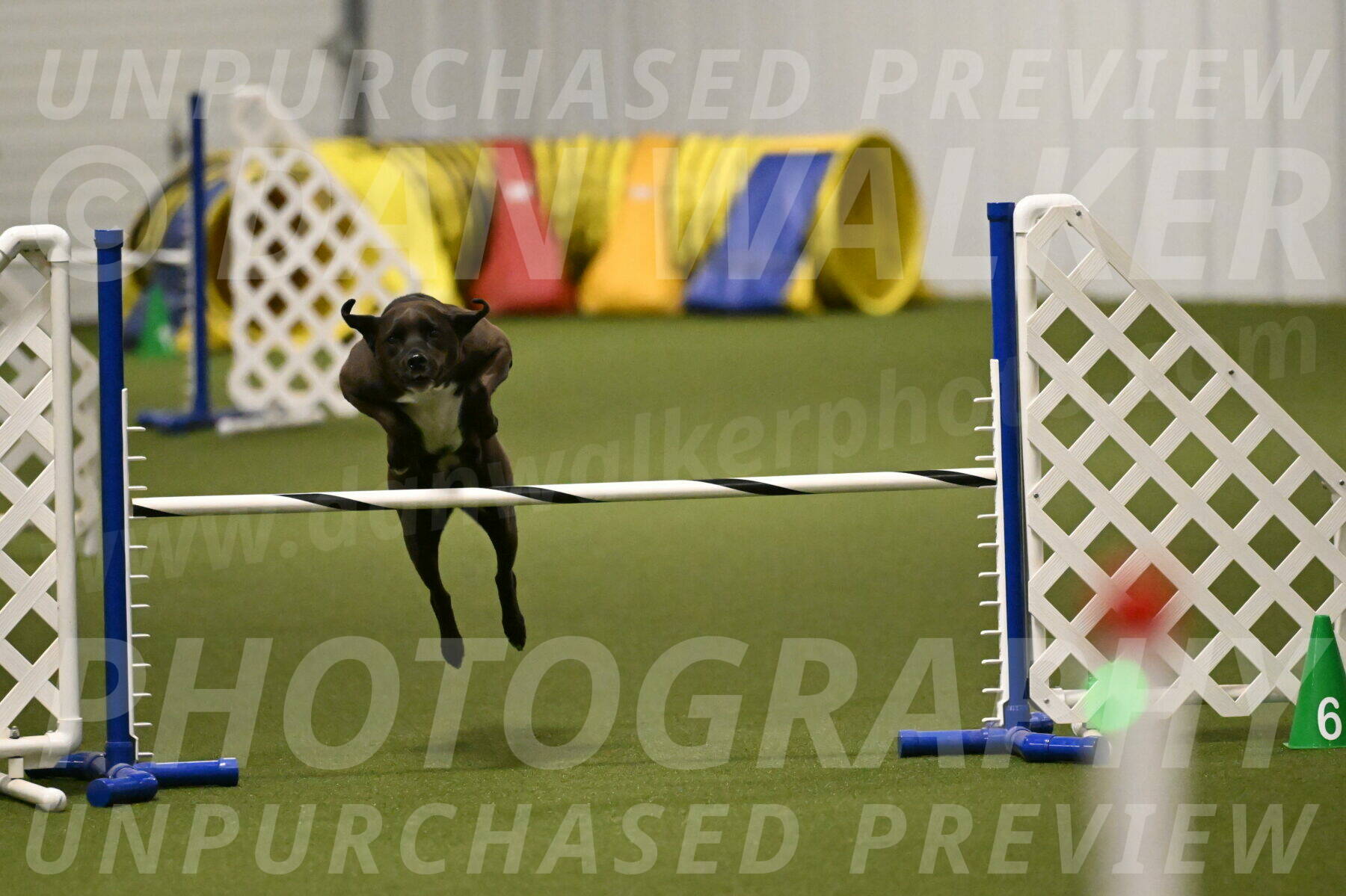 Josie-Sara-Dysert-07232