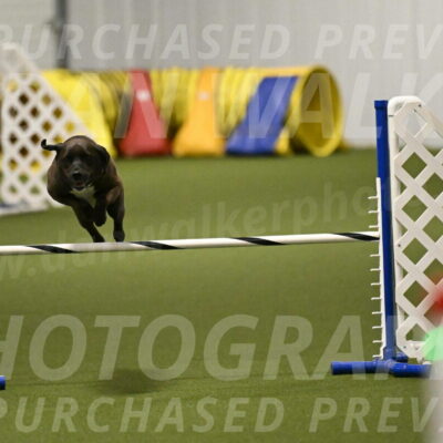 Josie-Sara-Dysert-07233