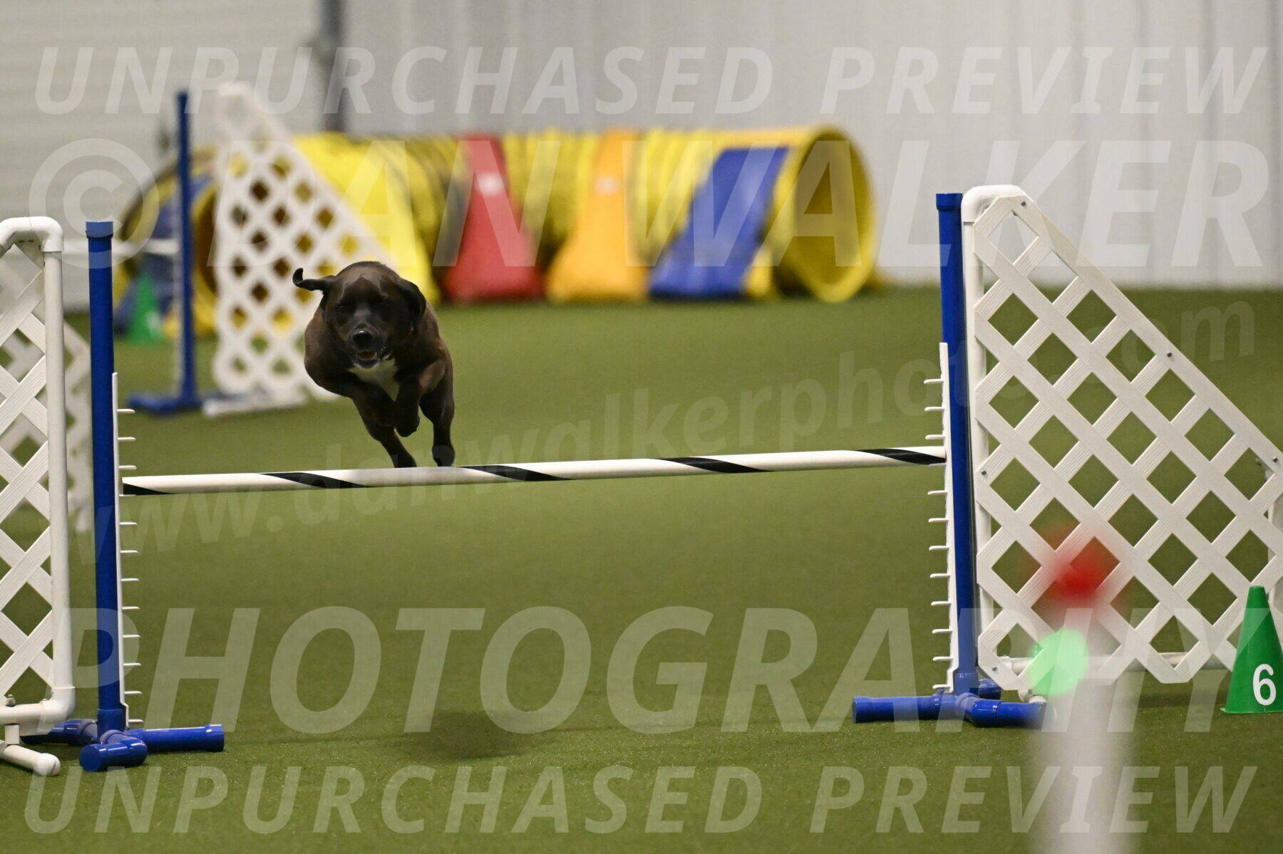 Josie-Sara-Dysert-07233