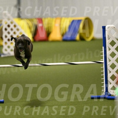 Josie-Sara-Dysert-07234