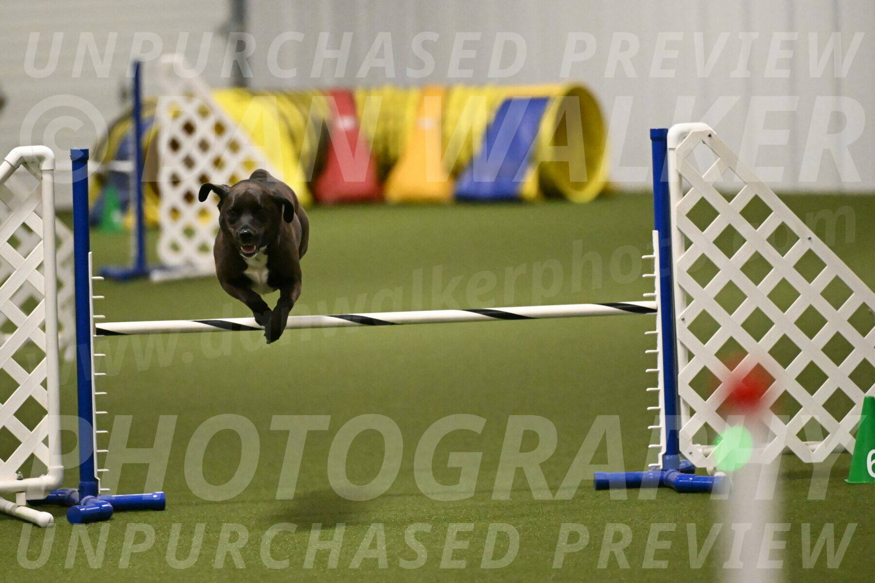 Josie-Sara-Dysert-07234