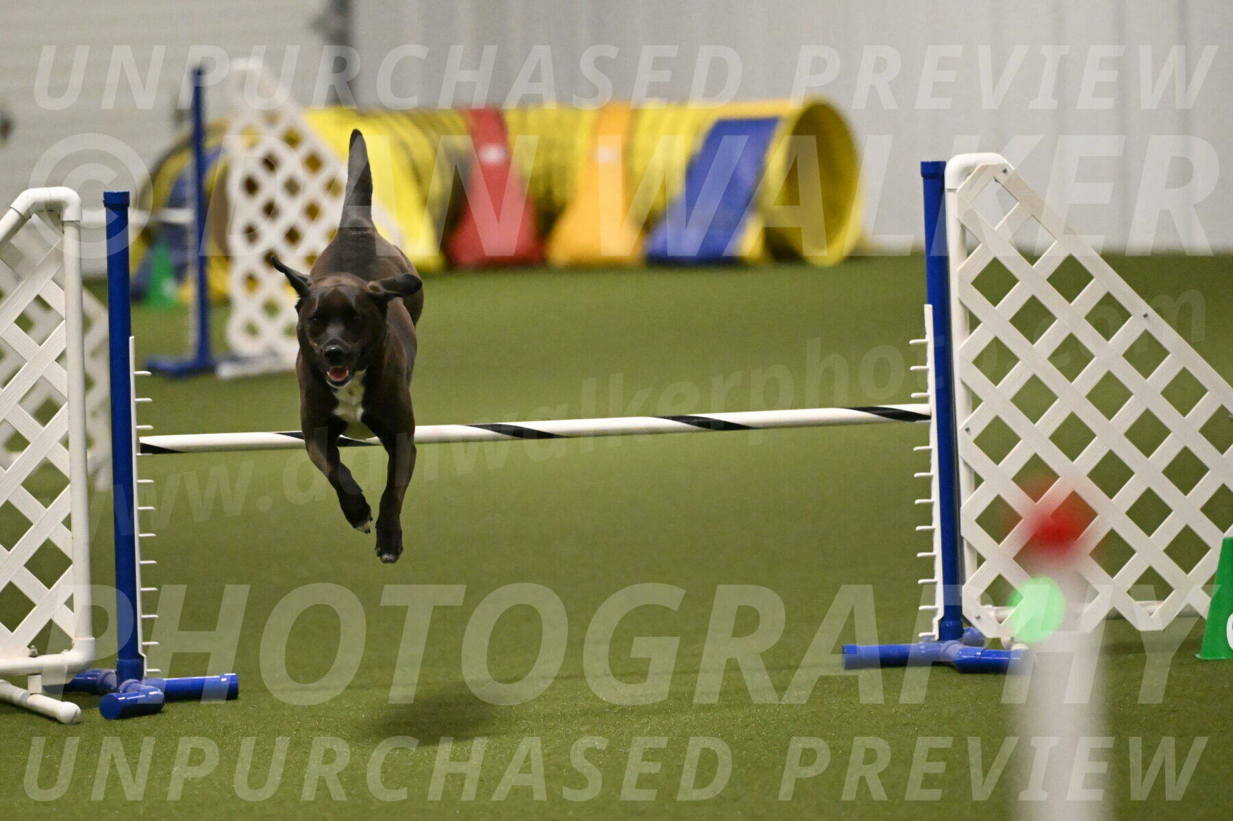 Josie-Sara-Dysert-07235