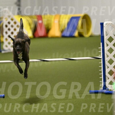 Josie-Sara-Dysert-07235