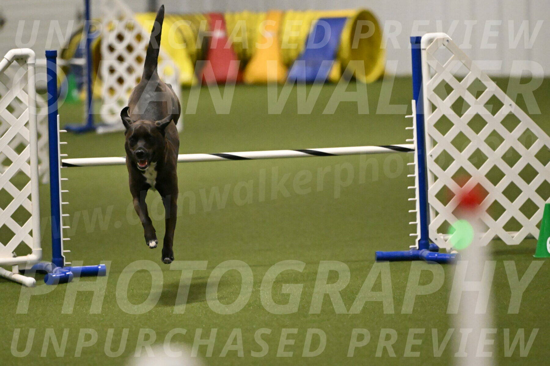 Josie-Sara-Dysert-07236