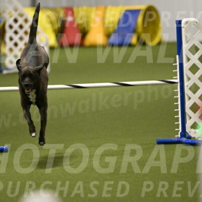 Josie-Sara-Dysert-07236