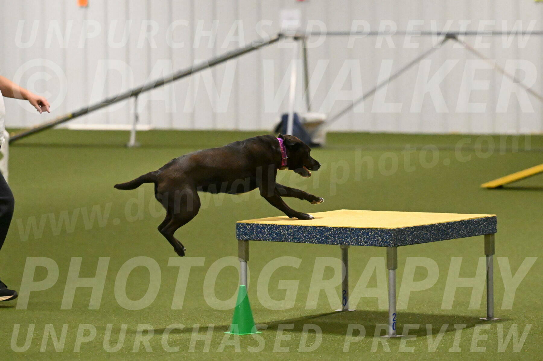 Josie-Sara-Dysert-07237