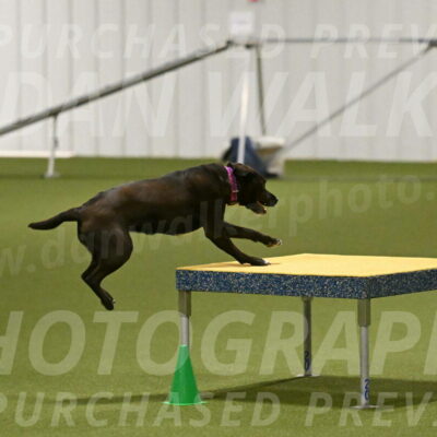 Josie-Sara-Dysert-07237