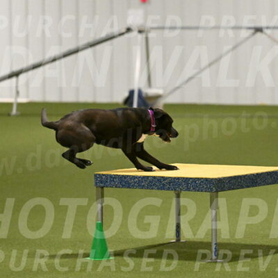 Josie-Sara-Dysert-07238