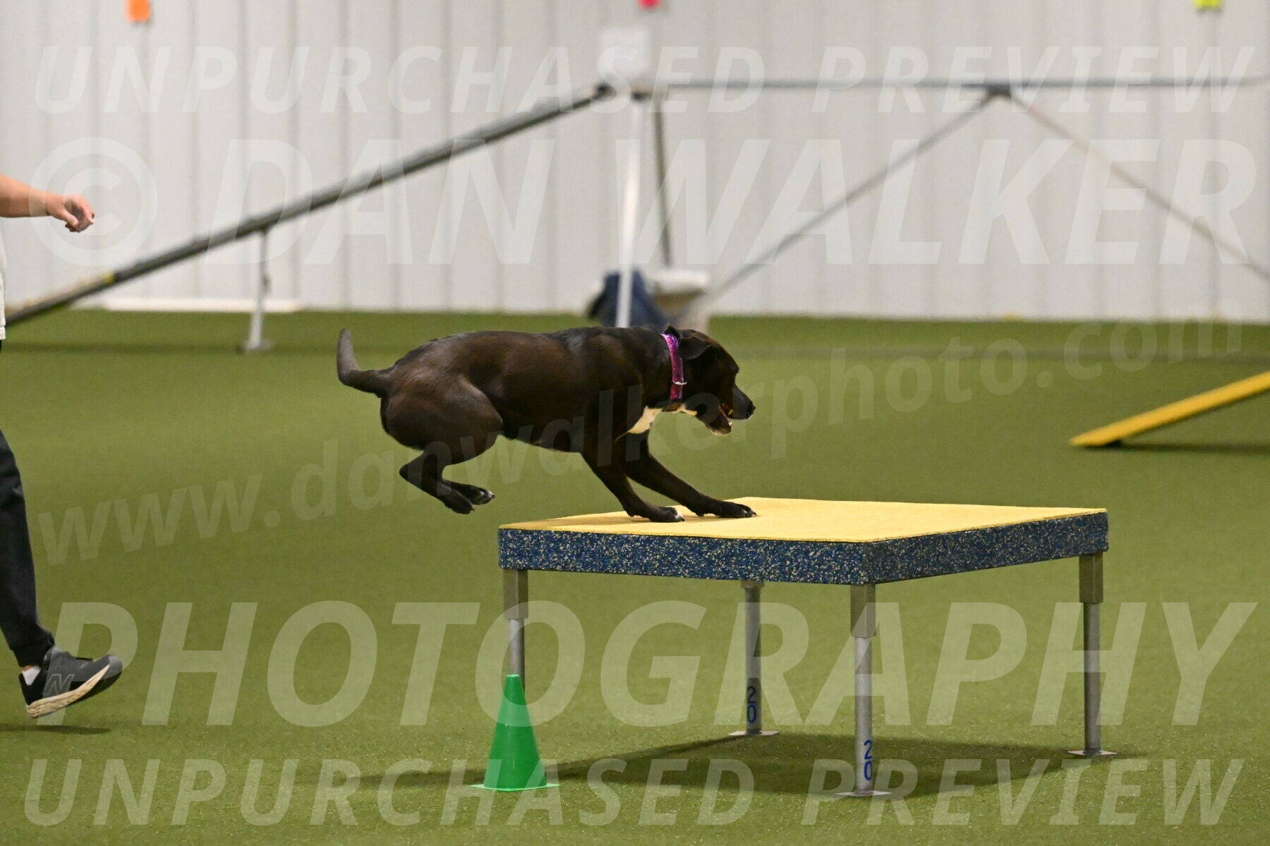 Josie-Sara-Dysert-07238