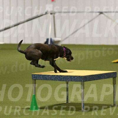 Josie-Sara-Dysert-07239