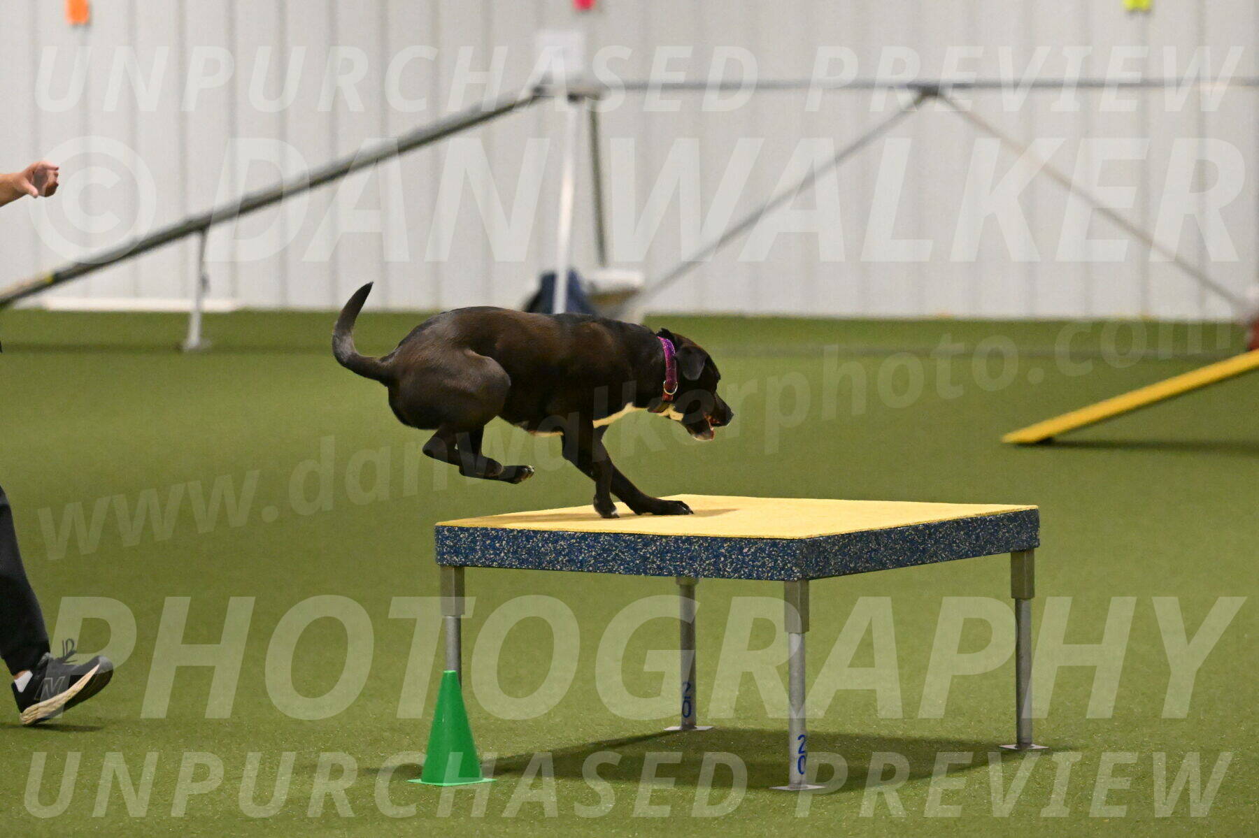 Josie-Sara-Dysert-07239