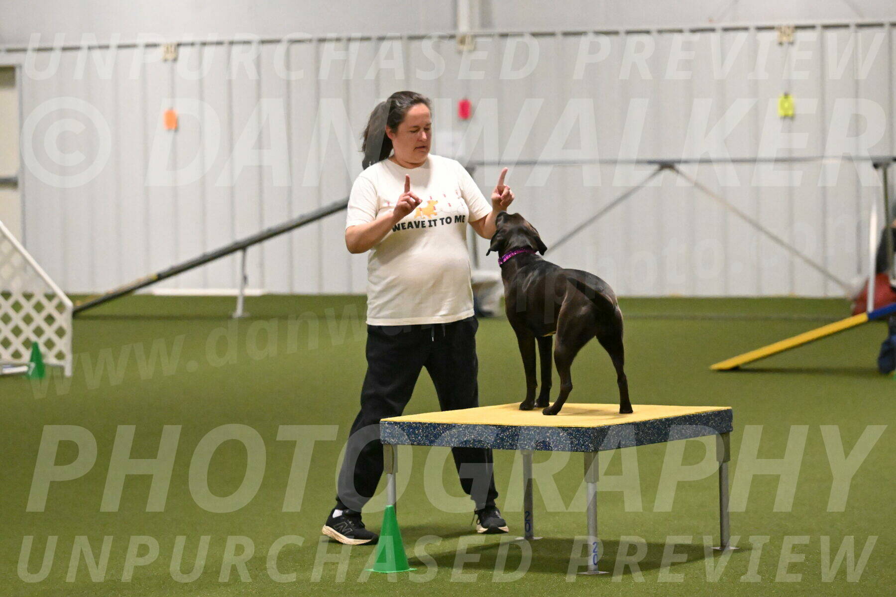 Josie-Sara-Dysert-07240