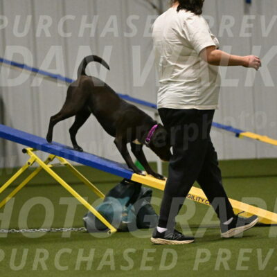 Josie-Sara-Dysert-07243