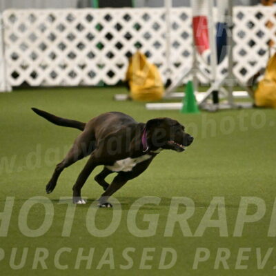 Josie-Sara-Dysert-07244