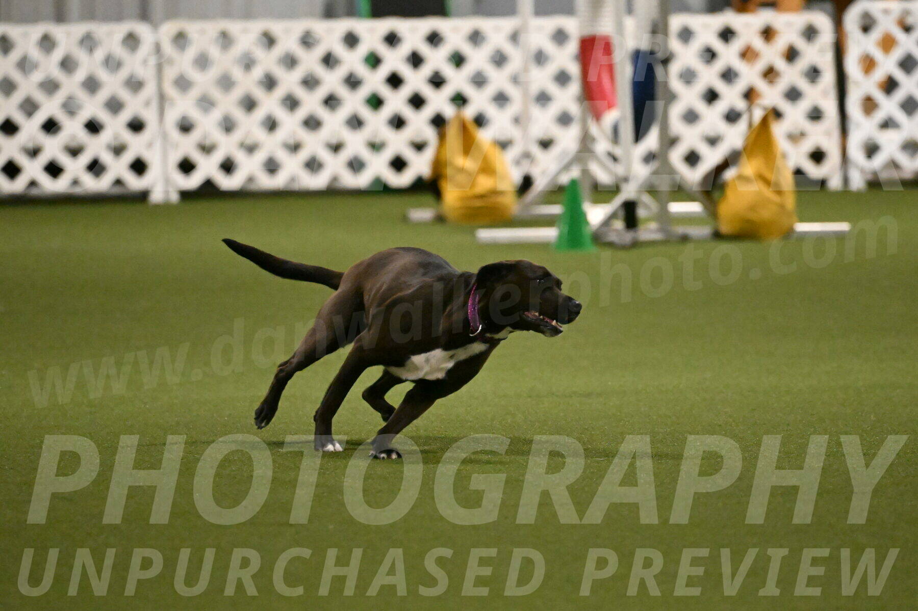 Josie-Sara-Dysert-07244